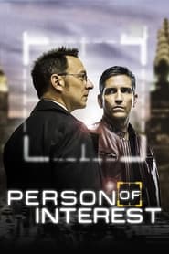 Person of Interest (2011-)