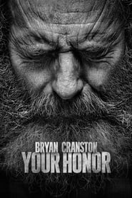 Your Honor (2020-)